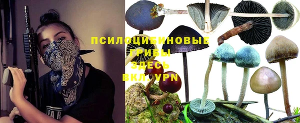 кокаин Новозыбков
