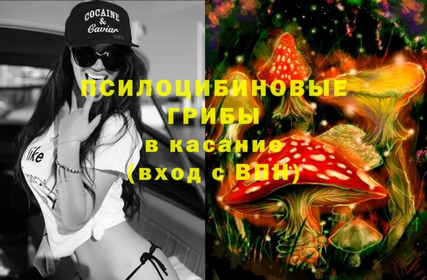 тгк Няндома