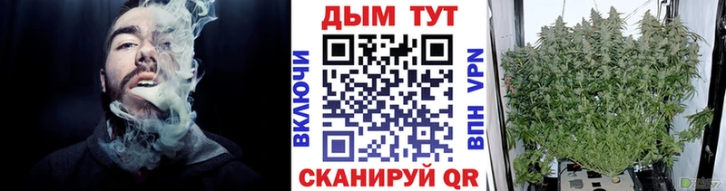 Шишки марихуана ГИДРОПОН  продажа наркотиков  OMG как зайти  Сафоново 